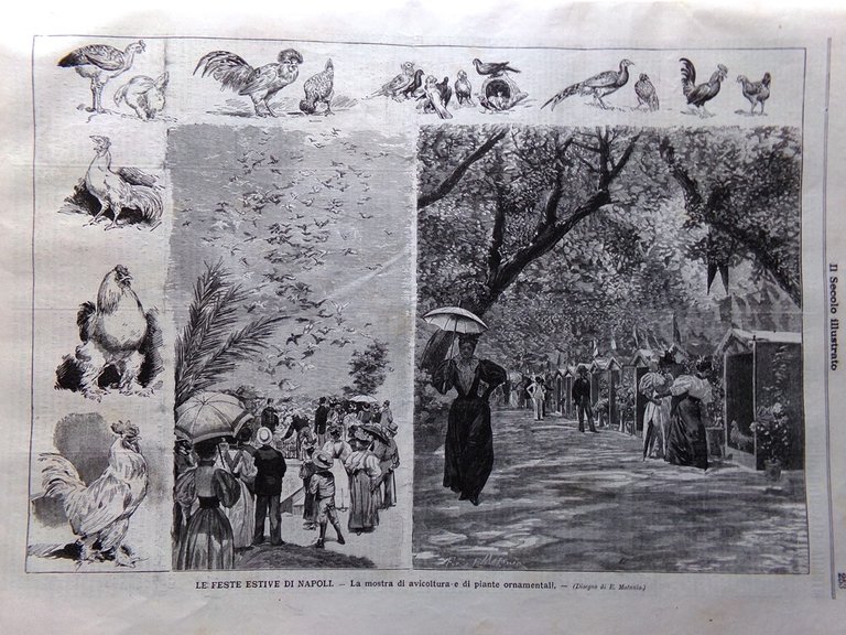 Il Secolo Illustrato 11 Agosto 1895 Parco di Milano Critici …