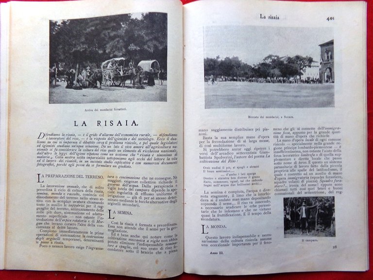 Il Secolo XX Maggio 1904 Michetti Risaia Radiazioni Reggia Gonzaga …