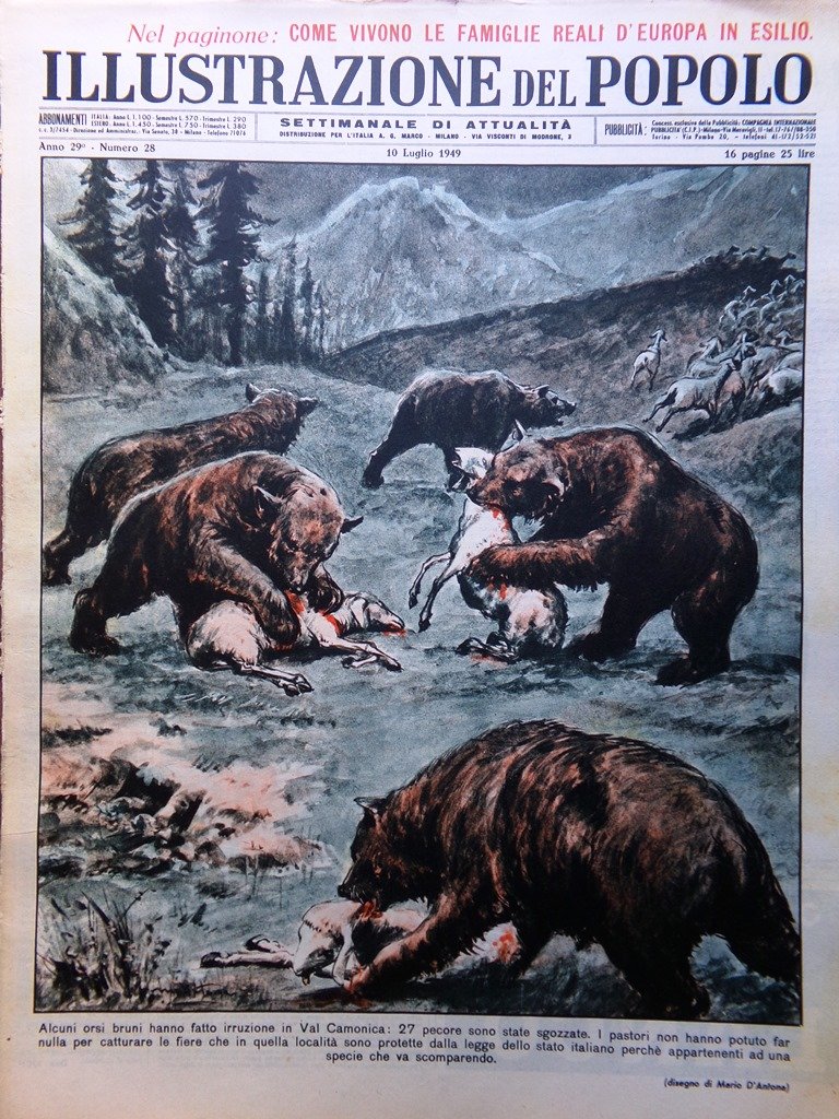 Illustrazione del Popolo 10 Luglio 1949 Fangio Monza Tour Romanzo …