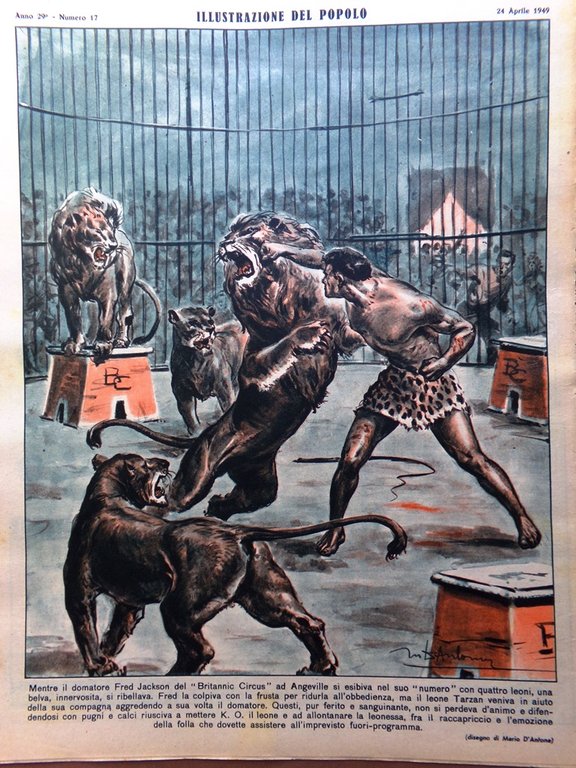 Illustrazione del Popolo 24 Aprile 1949 Geni Cippico Mitri Fiera …