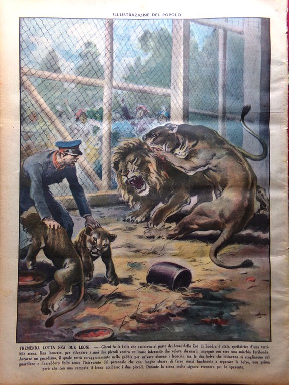Illustrazione del Popolo 31 Luglio 1938 Ruwenzori De Filippo Giro … | Immagine Gallery 3