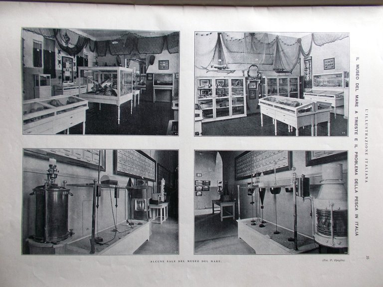 L'Illustrazione Italiana 11 Luglio 1926 Museo Trieste Grano Franchini Mussolini | Immagine Gallery 3