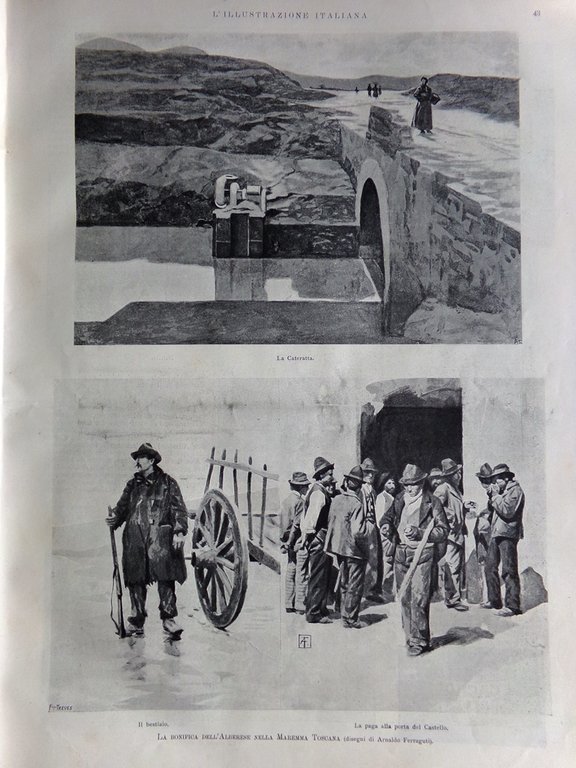 L'Illustrazione Italiana 15 Gennaio 1899 Bonifica Alberese Guida Serra Giorgio