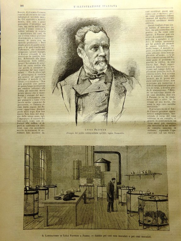 L'Illustrazione Italiana 15 Novembre 1885 Rabbia Louis Pasteur Frana Serravezza