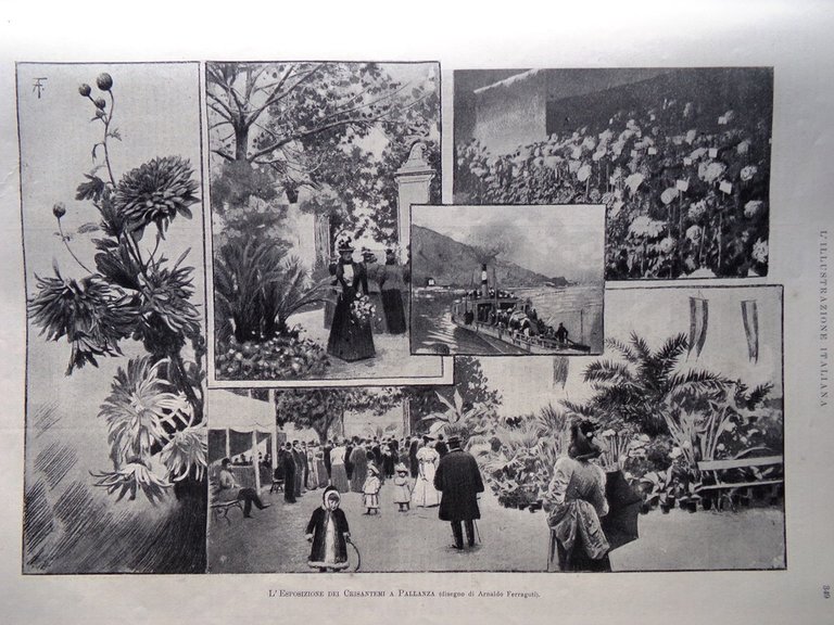 L'illustrazione Italiana 21 Novembre 1897 Cecchi Lafolè Strepponi Expo di …