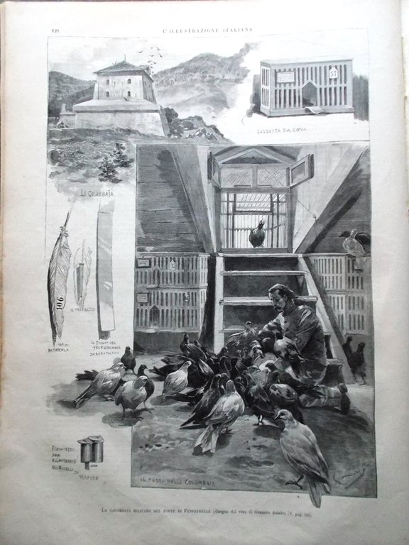 L'Illustrazione Italiana 23 Agosto 1891 Svizzera Mondovì Praga Celentano Allah