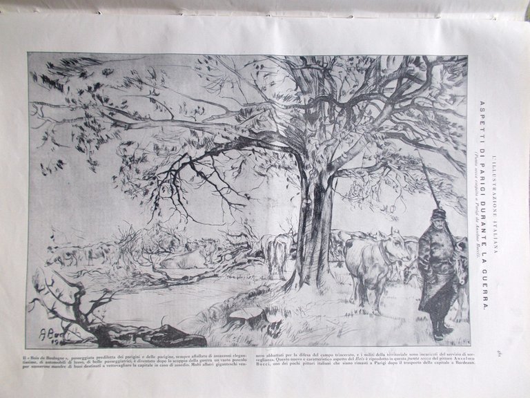 L'illustrazione Italiana 6 Dicembre 1914 WW1 Visconti Venosta Fiandre In …