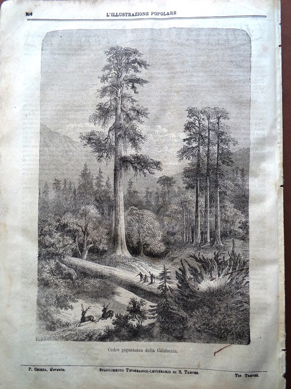 L'illustrazione Popolare 13 marzo 1870 Grotte Caverne Minatore California Pertus