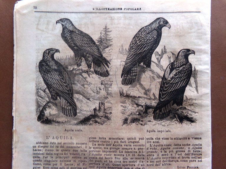 L'illustrazione Popolare 18 Novembre 1869 Stephenson Aquila Colosseo Roma Pietro