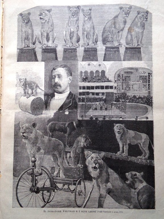 L'illustrazione Popolare 20 Settembre 1891 Peruzzi Grevy Veltran Scuola Cucina