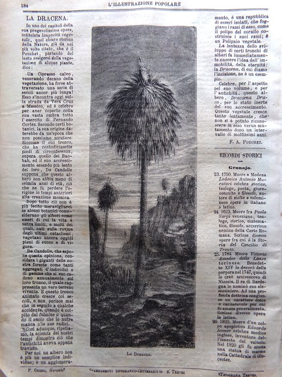 L'illustrazione Popolare 23 Gennaio 1870 Dracena Copenaghen Prigione Troppmann