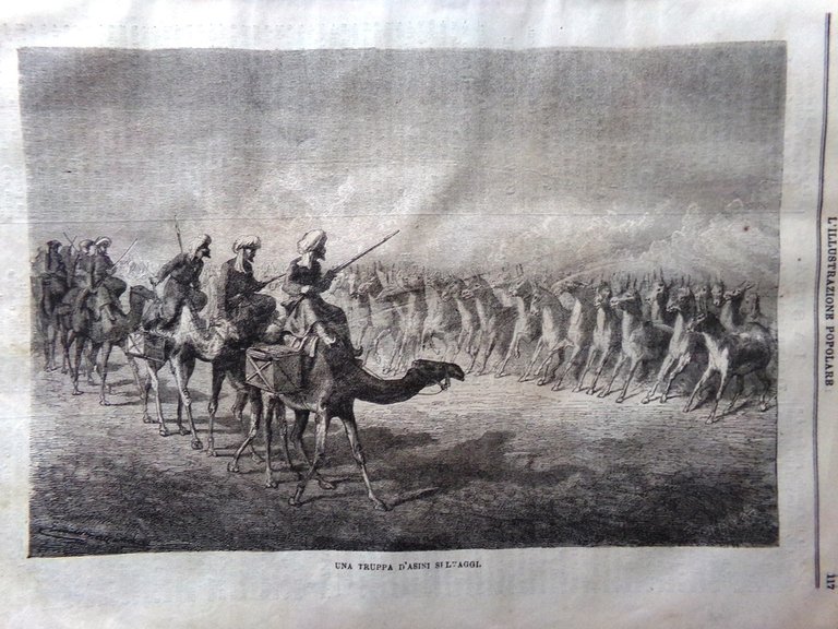 L'illustrazione Popolare 26 Dicembre 1869 Rochefort Himalaya Asini Medinet Habu