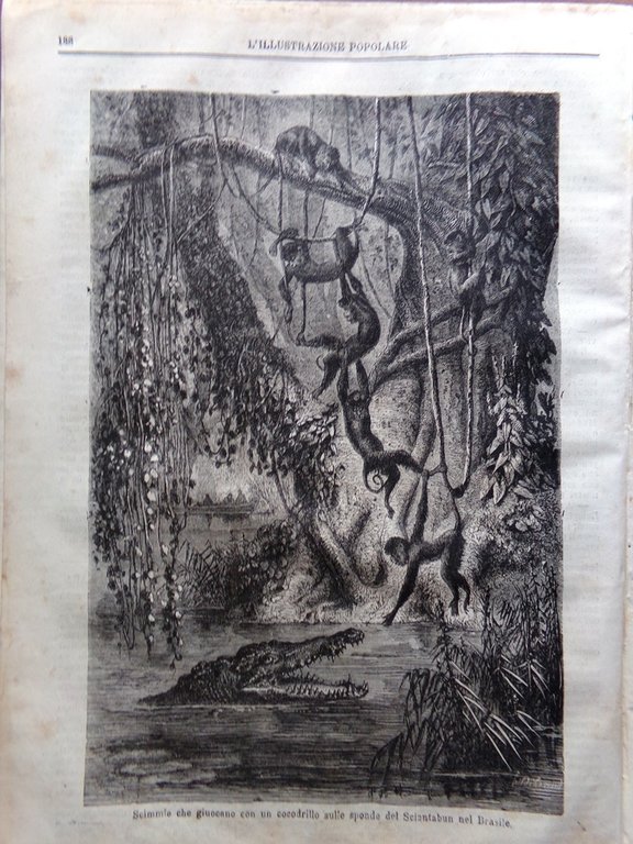 L'illustrazione Popolare 27 Gennaio 1870 Castello di Monaco Scimmie Brasile …