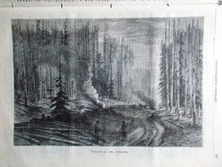 L'illustrazione Popolare 27 Novembre 1881 Lacour Renan Rubattino Figure Popolari