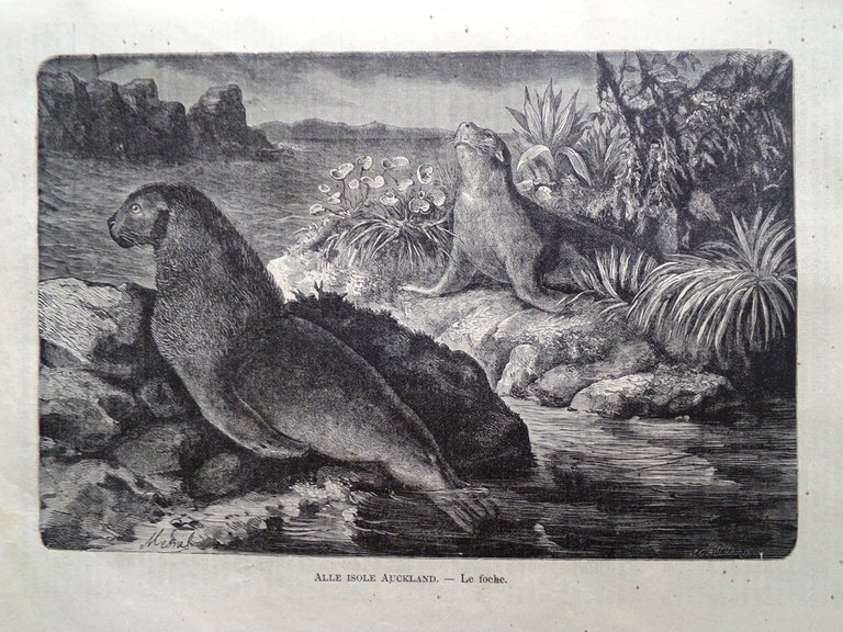 L'illustrazione Popolare 29 Settembre 1889 Val Calanca Esposizione Parigi Lane