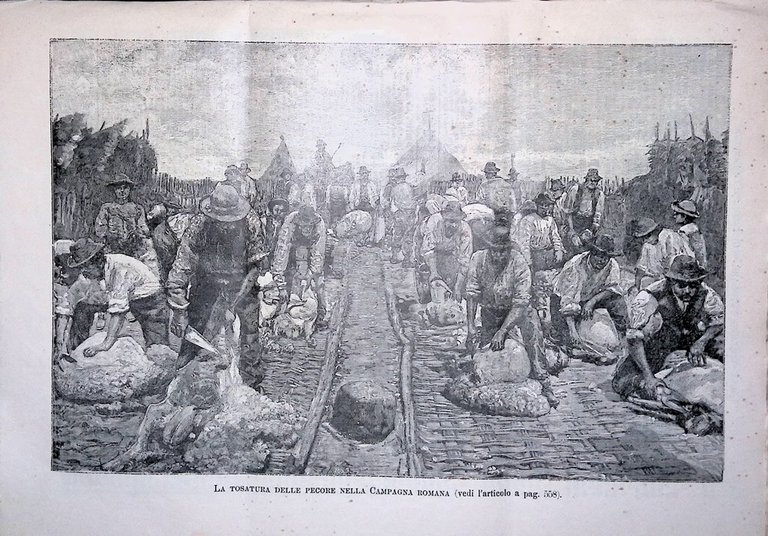 L'Illustrazione Popolare 31 Agosto 1890 Società Ginnastiche Valle del Ferro …