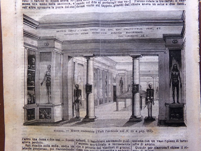 L'Illustrazione Popolare 7 Marzo 1872 Sangue Castelli Danimarca Scavi Palatino
