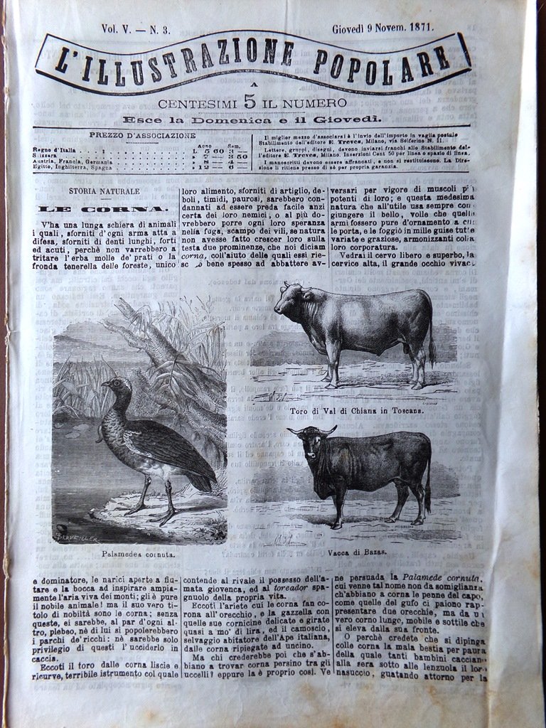 L'Illustrazione Popolare 9 Novembre 1871 Meydan Frati Mendicanti Pozzo Grenelle