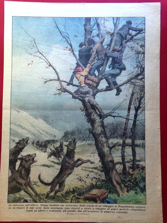 La Domenica del Corriere 1 Dicembre 1935 Africa Orientale Milano …