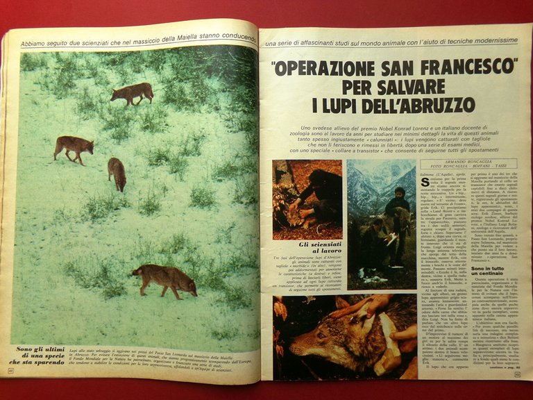 La Domenica del Corriere 1 Maggio 1975 Fatti di Milano …