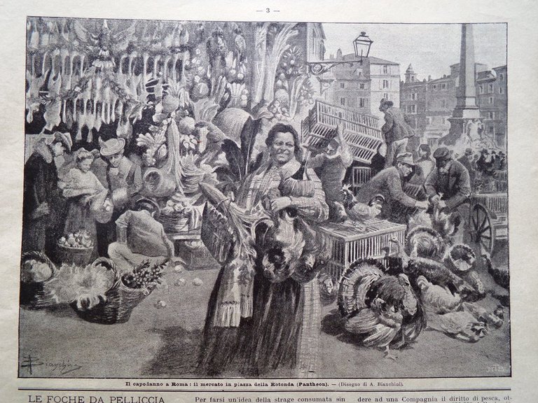 La Domenica del Corriere 10 Gennaio 1904 Zanardelli Ponte di …