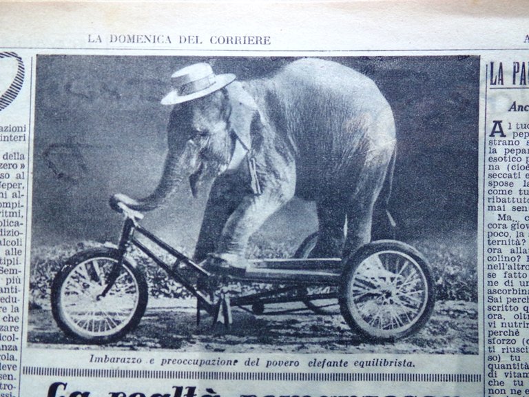 La Domenica del Corriere 10 Settembre 1944 WW2 Campo India …