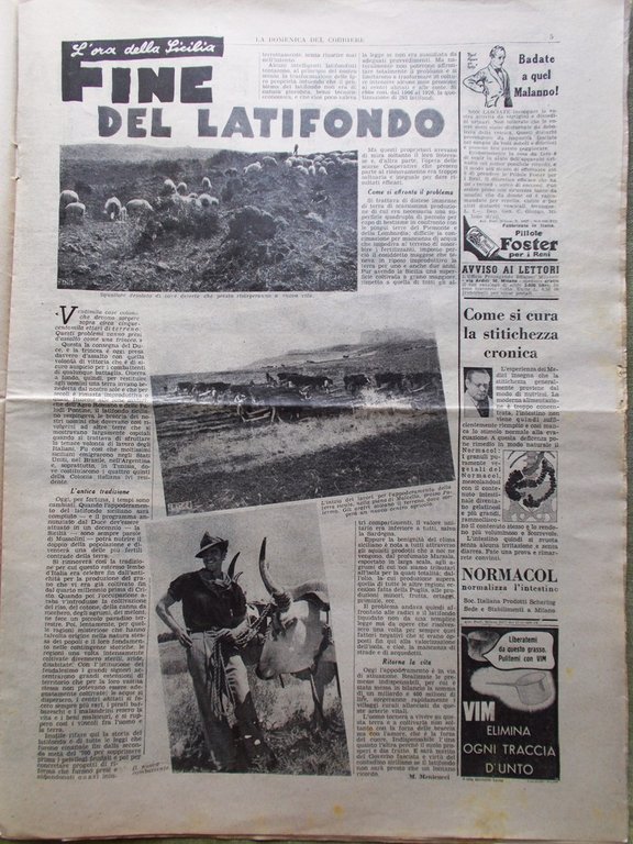 La Domenica del Corriere 11 Novembre 1939 WW2 Comune Pomezia …