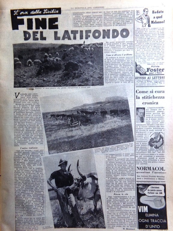 La Domenica del Corriere 11 Novembre 1939 WW2 Comune Pomezia …