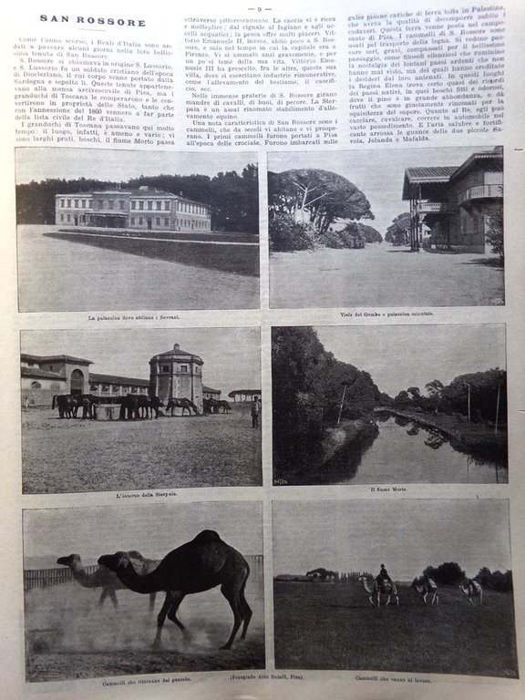 La Domenica del Corriere 11 Ottobre 1903 San Rossore Esposizione …