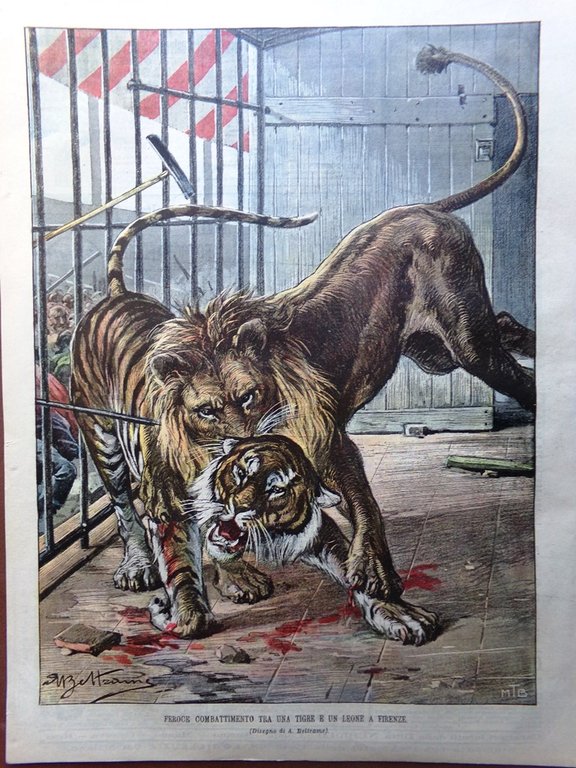 La Domenica del Corriere 11 Ottobre 1903 San Rossore Esposizione …