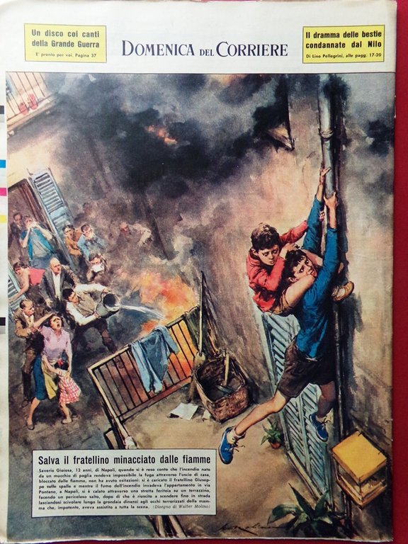 La Domenica del Corriere 11 Ottobre 1964 WW1 Longarone Vajont … | Immagine Gallery 3