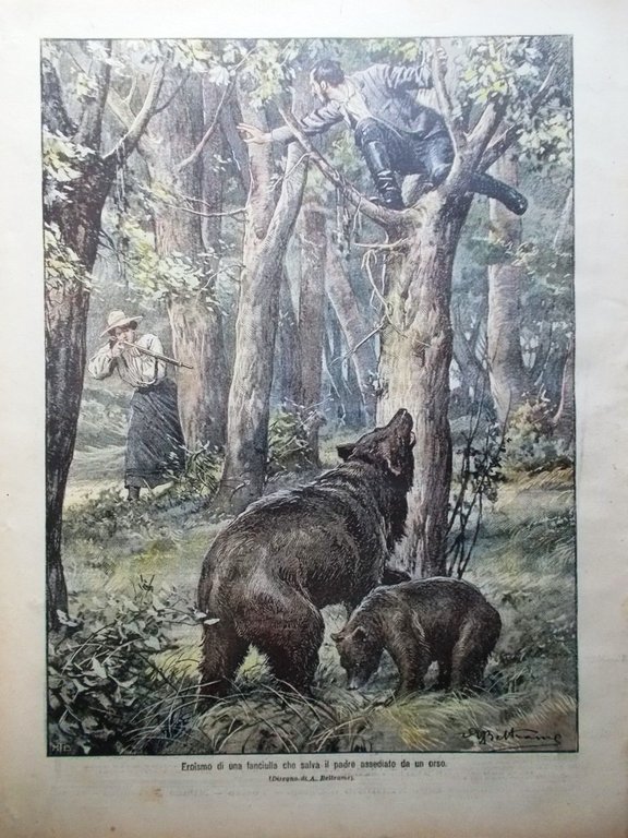 La Domenica del Corriere 13 Agosto 1905 Venere Eclisse Cucina …