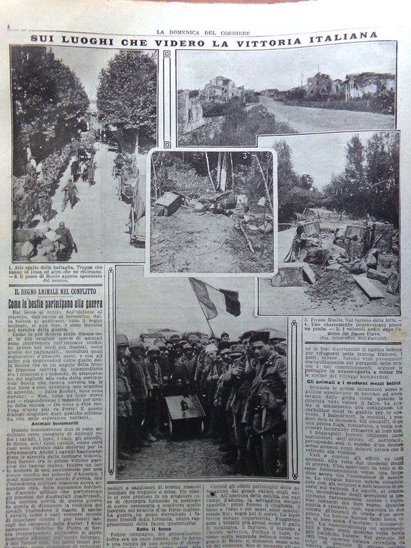La Domenica del Corriere 14 Luglio 1918 WW1 Musile Vittoria …