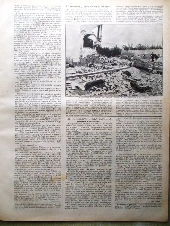 La Domenica del Corriere 14 Ottobre 1900 Puccini Sprague Riviera …