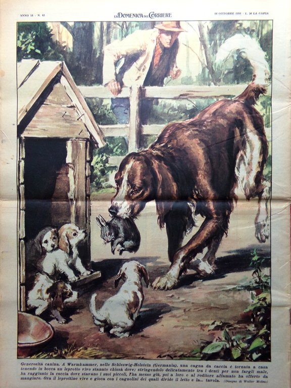 La Domenica del Corriere 14 Ottobre 1956 Stan Ockers Bergman …