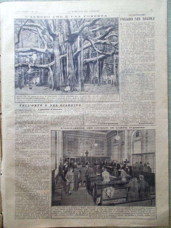 La Domenica del Corriere 15 Novembre 1931 Giurati Assise Polenta …