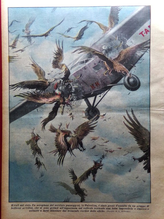 La Domenica del Corriere 15 Ottobre 1933 Lilì Roma Mario … | Immagine Gallery 3