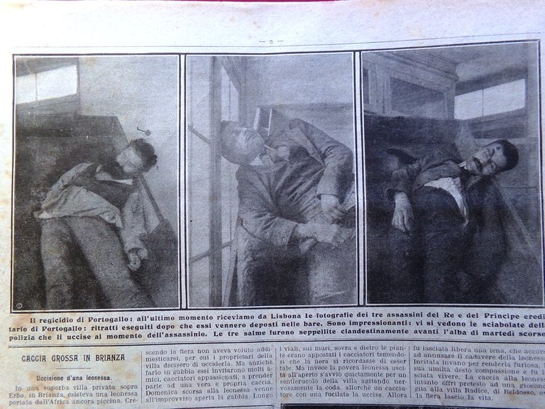 La Domenica del Corriere 16 Febbraio 1908 Tragedia Lisbona Don … | Immagine Gallery 2