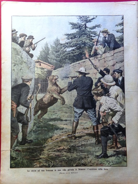 La Domenica del Corriere 16 Febbraio 1908 Tragedia Lisbona Don … | Immagine Gallery 3