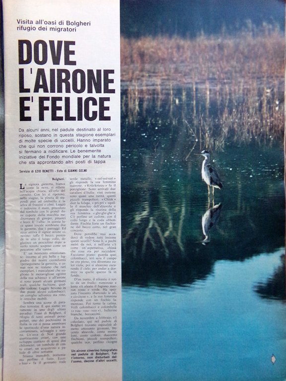 La Domenica del Corriere 17 Dicembre 1968 Avola Polizia Teatro …