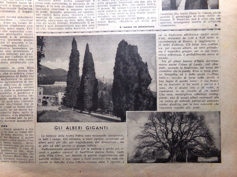 La Domenica del Corriere 17 Febbraio 1935 Casa Italiana Quadriennale …