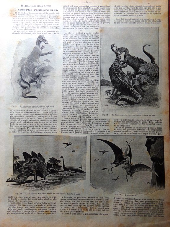 La Domenica del Corriere 17 Marzo 1901 Tumulti Palermo Mostri …