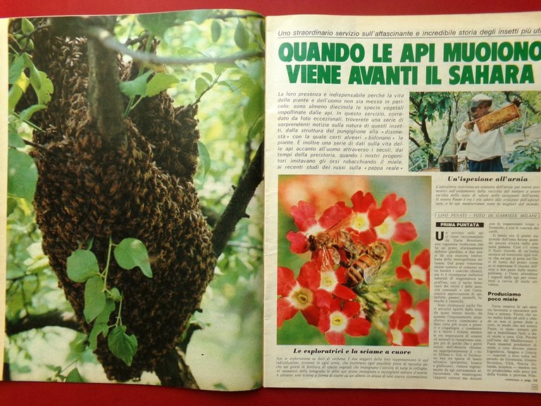 La Domenica del Corriere 19 Giugno 1975 Fatima Marcello Candia …