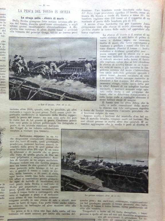 La Domenica del Corriere 2 Luglio 1899 Pesca del Tonno …