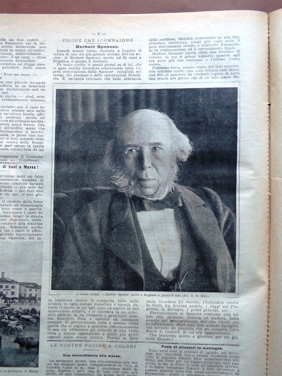 La Domenica del Corriere 20 Dicembre 1903 Venezia Herbert Spencer …