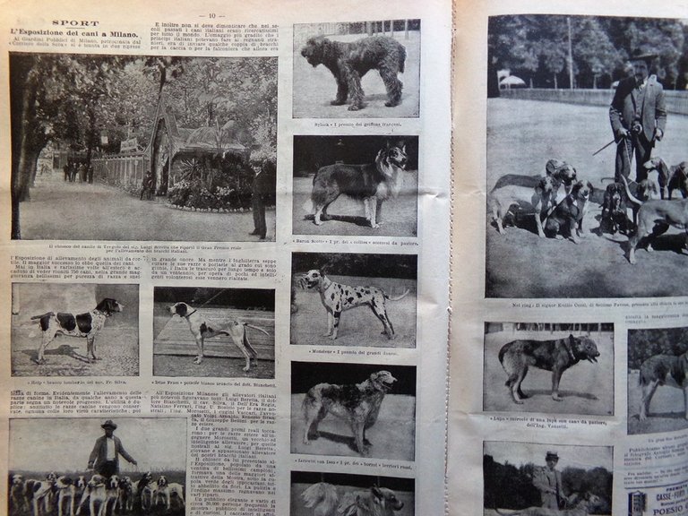 La Domenica del Corriere 20 Maggio 1900 Esposizione Parigi Cani …