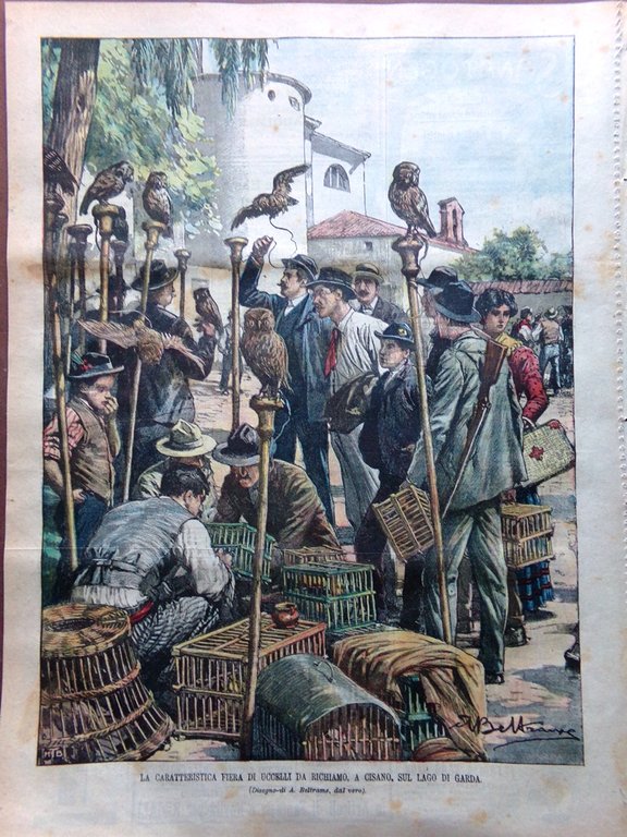 La Domenica del Corriere 20 Settembre 1903 Bontempi Ravaschieri Cisano …