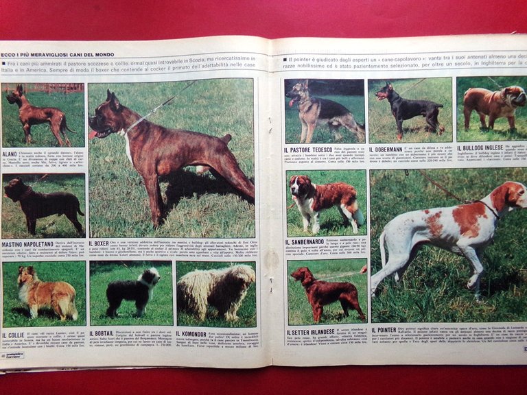 La Domenica del Corriere 23 Giugno 1974 Matteotti Bartali Rubinstein …