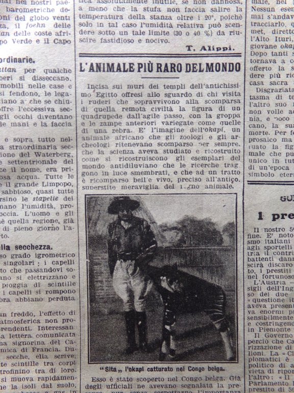 La Domenica del Corriere 24 Febbraio 1918 WW1 Highlanders Brigata …