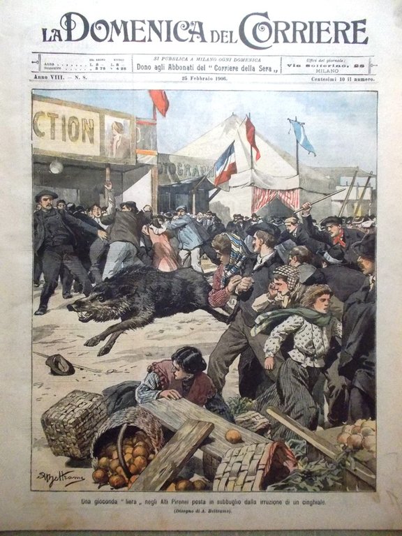 La Domenica del Corriere 25 Febbraio 1906 Caffè Trifono Galati … | Immagine Gallery 1